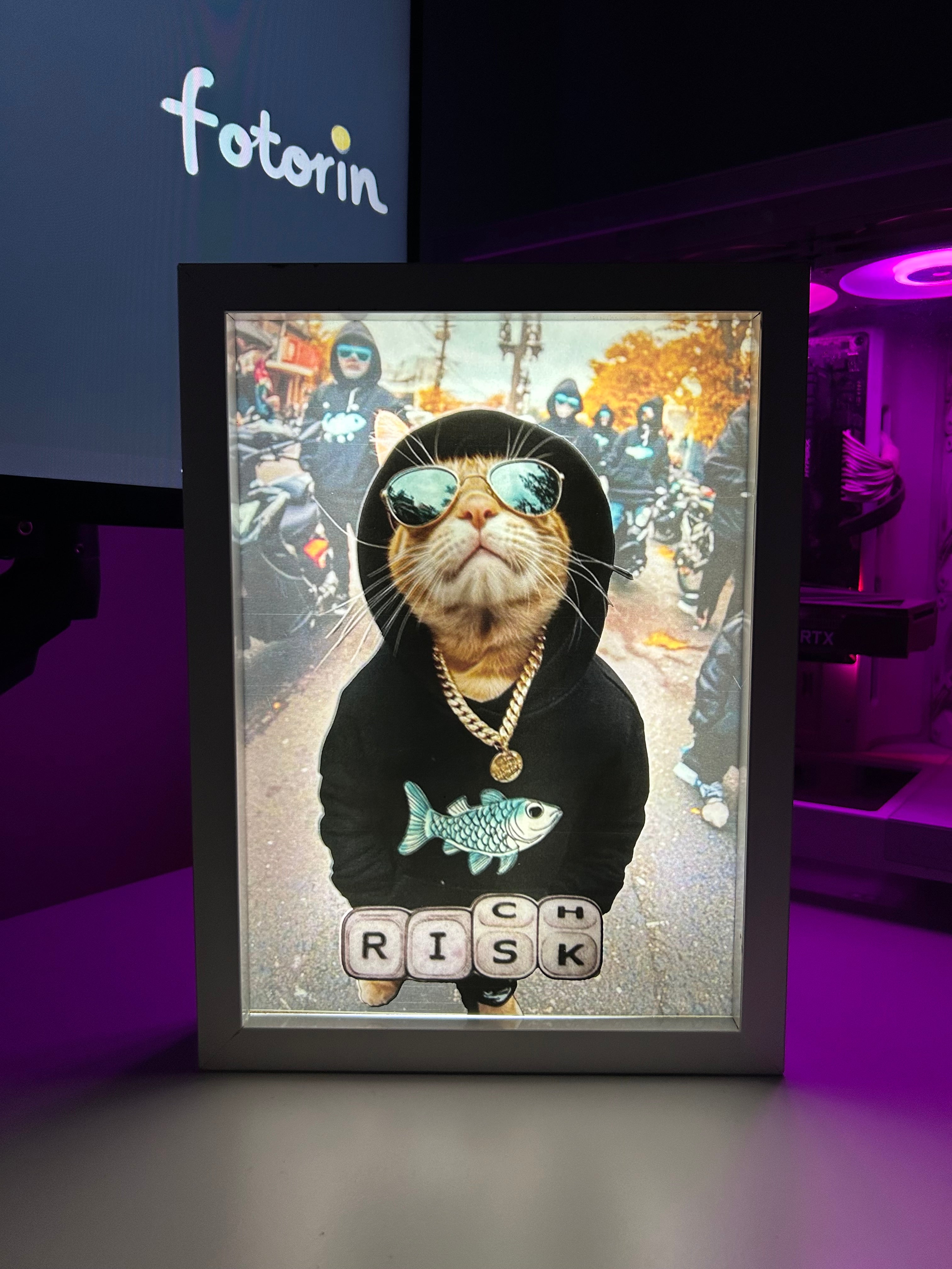 Premium LED Işıklı Tablo - Kedi