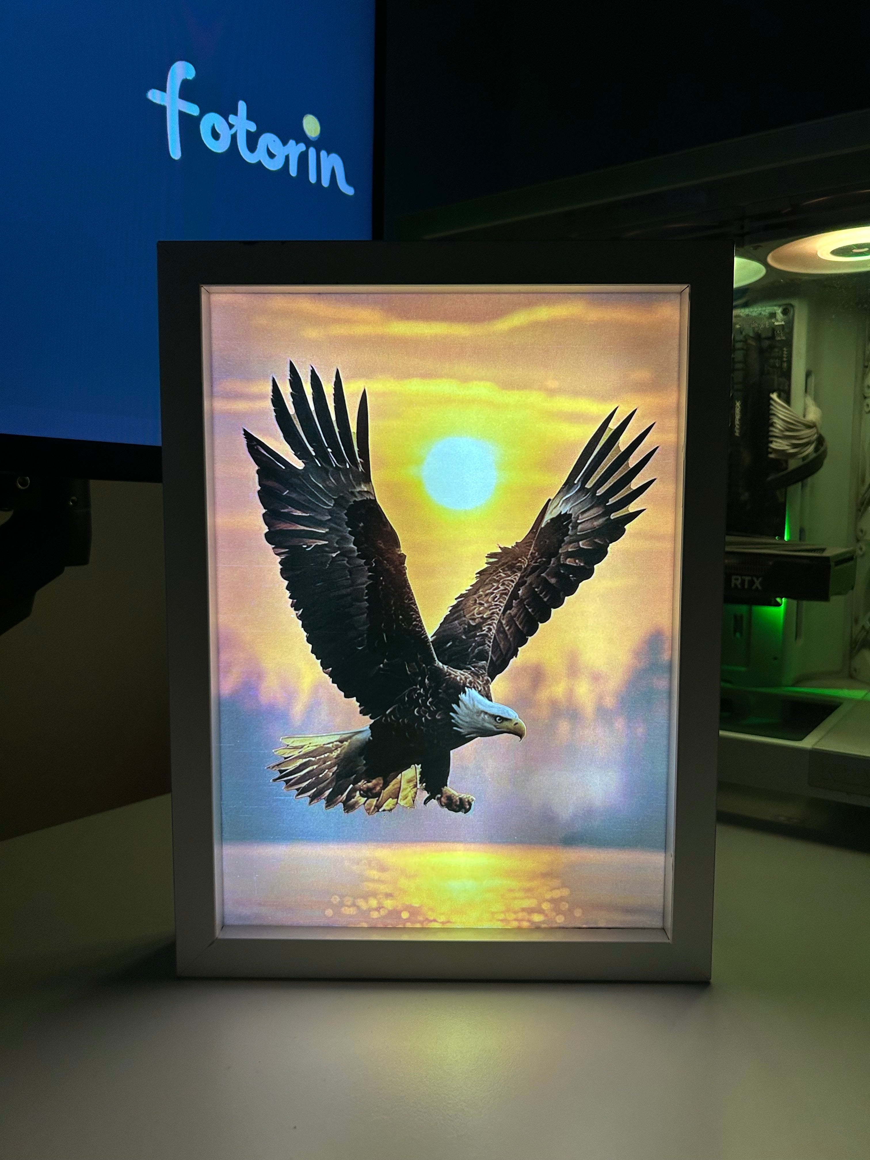 Premium LED Işıklı Tablo - Kartal