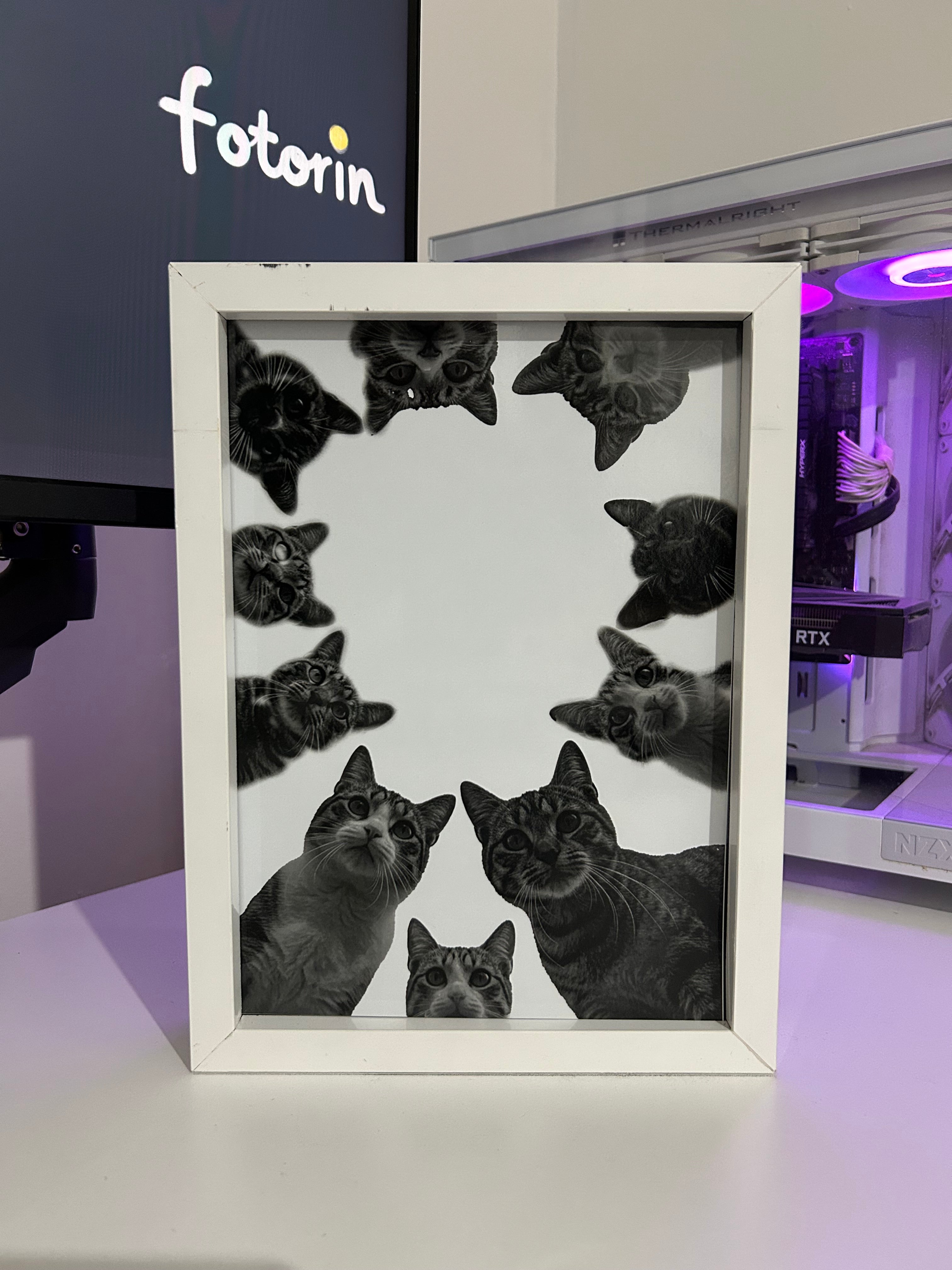 Premium LED Işıklı Tablo - Kedi 2