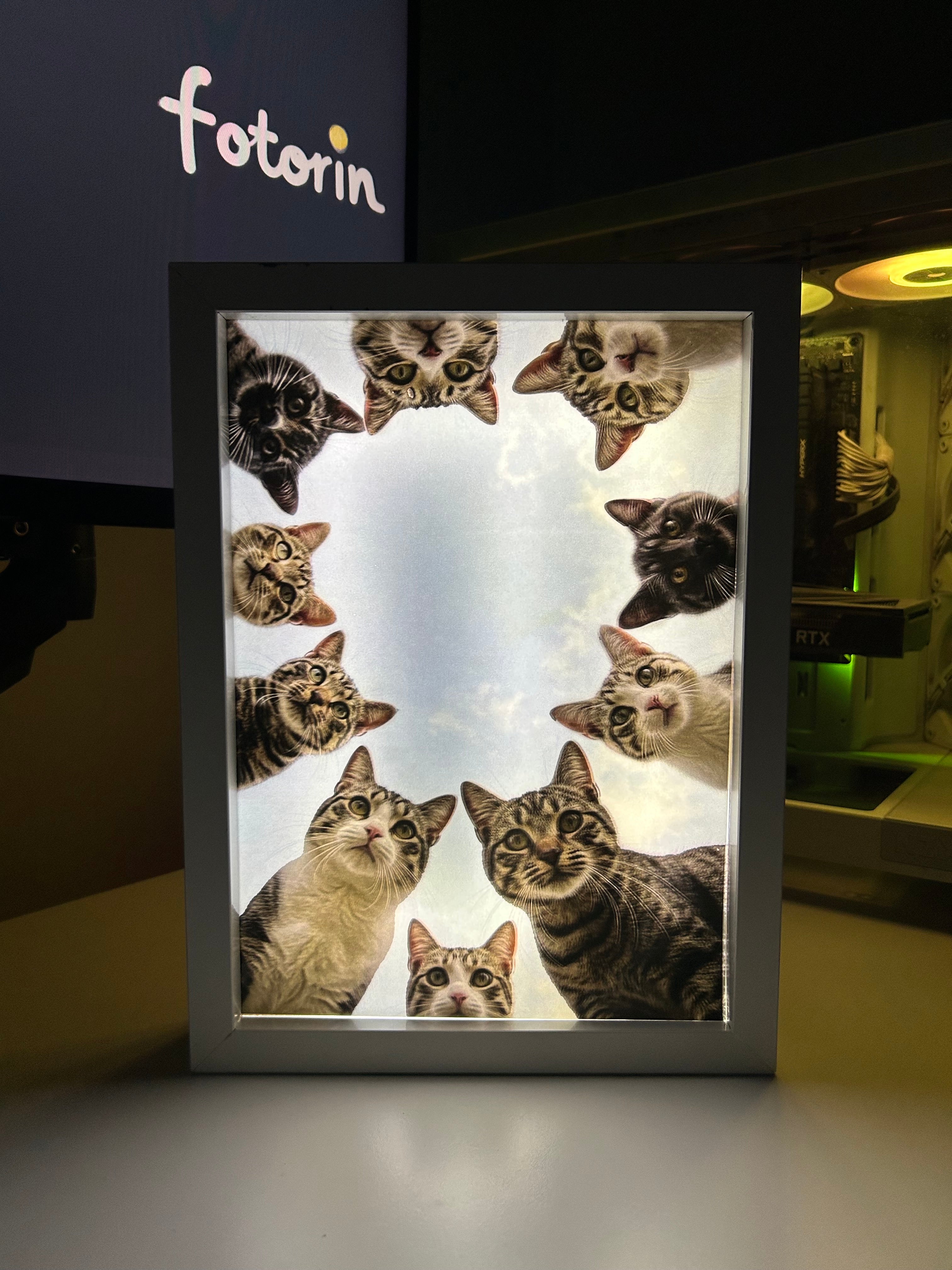 Premium LED Işıklı Tablo - Kedi 2